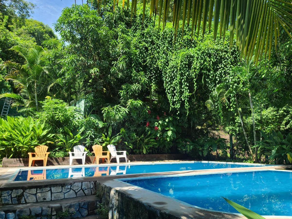 Hostel Hammock Plantation El Zonte Zewnętrze zdjęcie